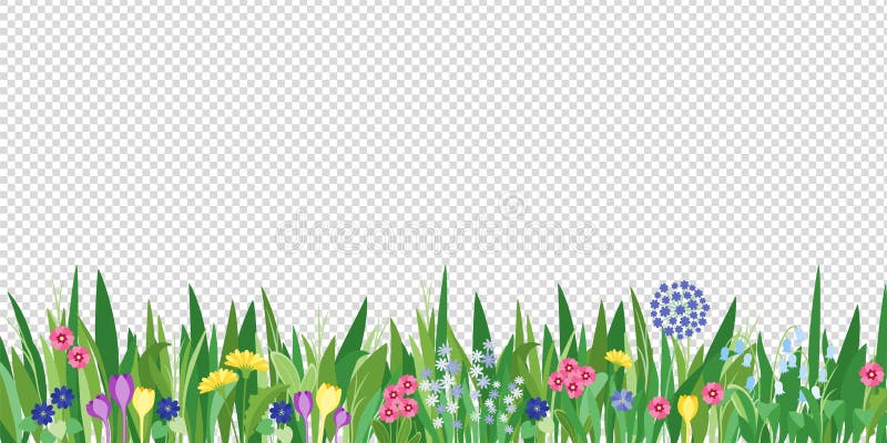 Jardín de primavera y frontera floral Fondo de flores vectorial de caricatura Elementos verdes sobre antecedentes transparentes