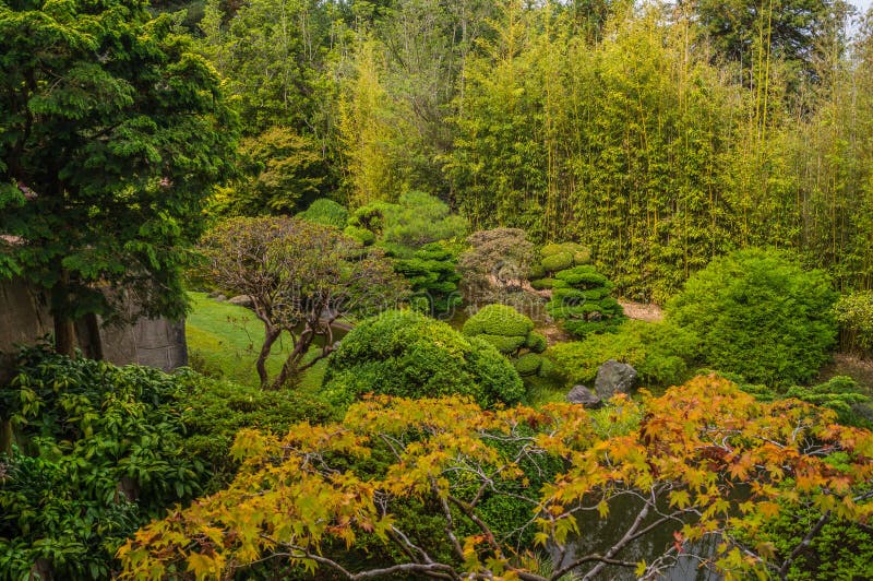 Jardín de té japonés en el Golden Gate Park, San Francisco imagenes de archivo Jardín de té japonés en el Golden Gate Park, San Francisco imagenes de archivo