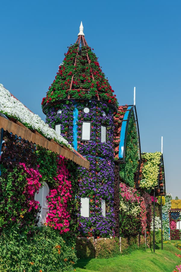 Jardín del milagro de Dubai con sobre millón de flores fotografía de archivo libre de regalías Jardín del milagro de Dubai con sobre millón de flores fotografía de archivo libre de regalías