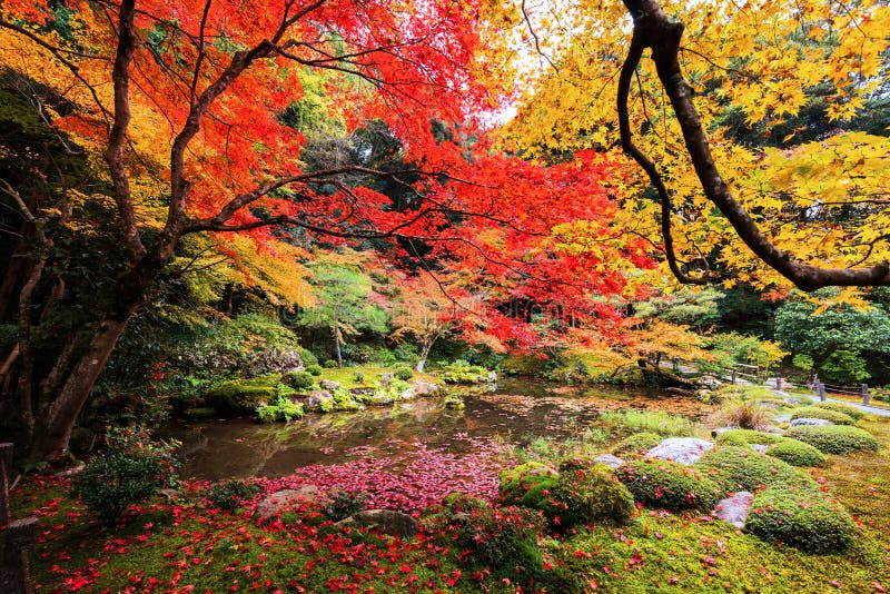 Jardín del otoño en el templo de Nanzen-ji, Kyoto foto de archivo Jardín del otoño en el templo de Nanzen-ji, Kyoto foto de archivo