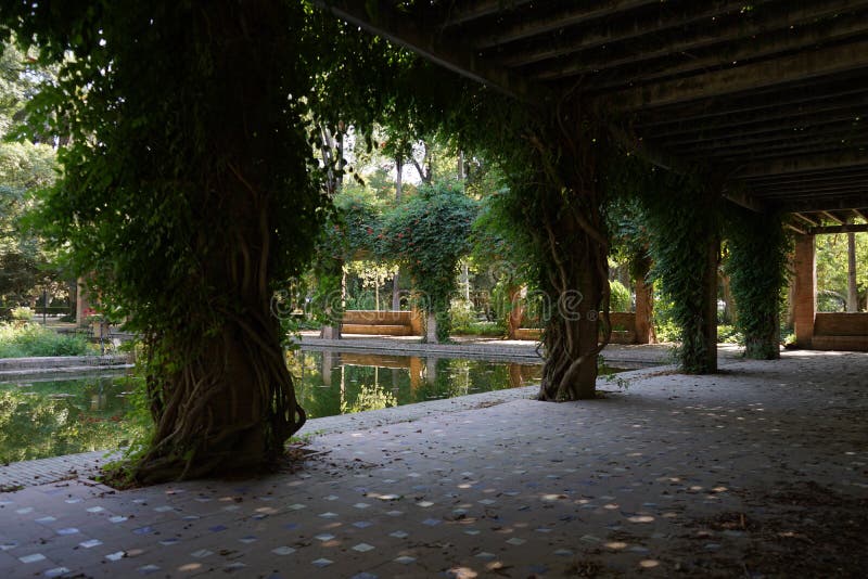 Jardín en el parque Marie Luisa Sevilla Spain imagen de archivo libre de regalías Jardín en el parque Marie Luisa Sevilla Spain imagen de archivo libre de regalías