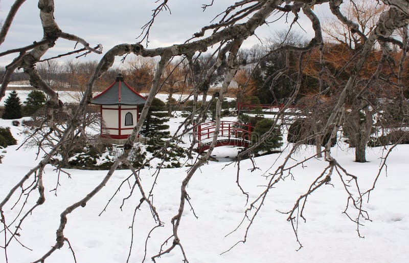 Jardín japonés en nieve imagen de archivo Jardín japonés en nieve imagen de archivo