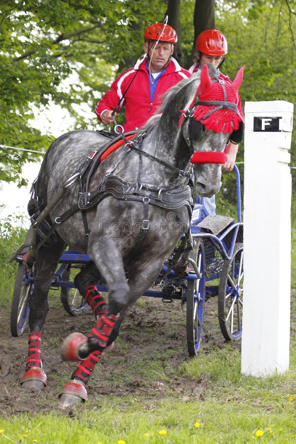 Jaroslav Jirgala in Central Europe Driving Cup