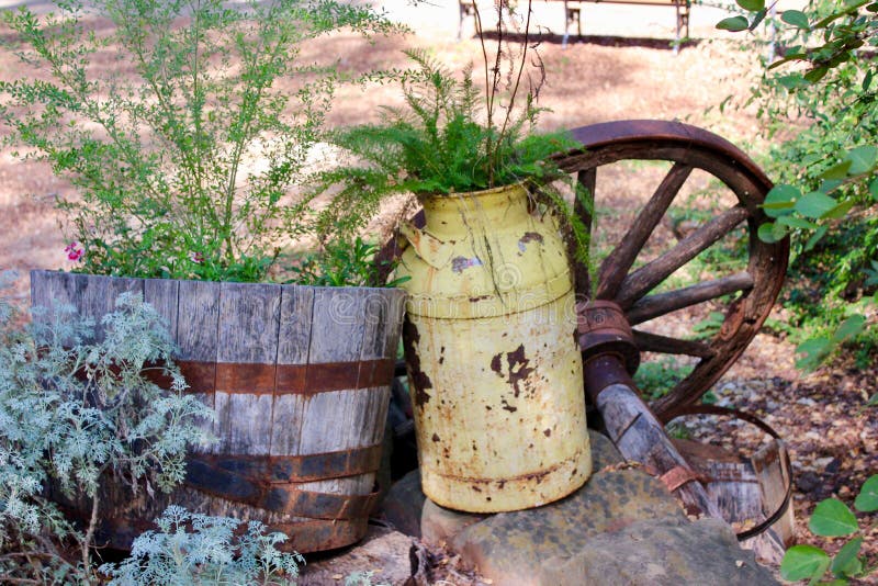 Jarro amarelo oxidado da exploração agrícola usado como um plantador com um fundo da roda de vagão