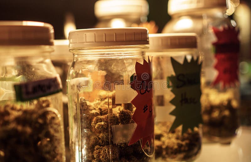 Jars of Cannabis on Display Stock Photo Image of cannabis, mmmp