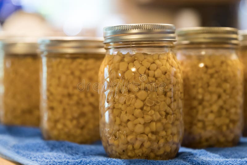 Jars of Corn Kernels Cooling on the Counter after Being Processed in