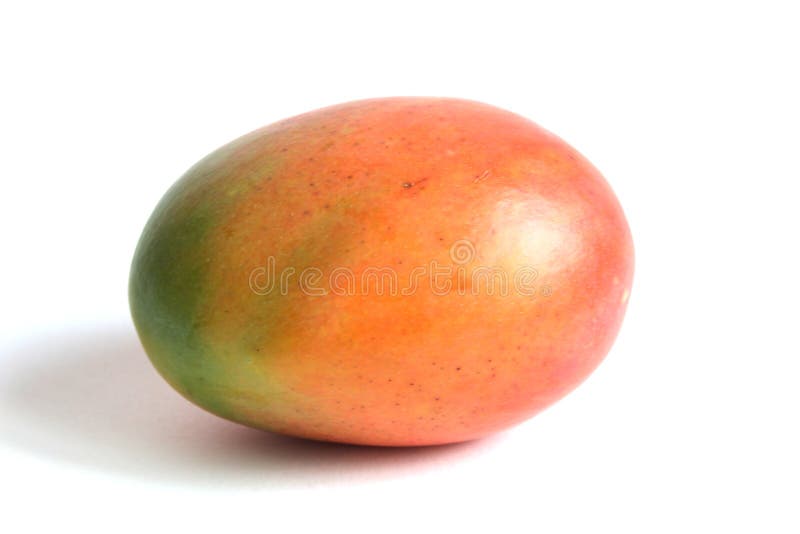 Jaskrawy mangowy tropikalnej owoc bielu tło zdjęcie stock Jaskrawy mangowy tropikalnej owoc bielu tło zdjęcie stock
