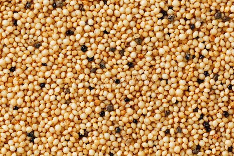 Jasmine Brown Rice Closeup. Organic Grain Texture Stock Photo Image