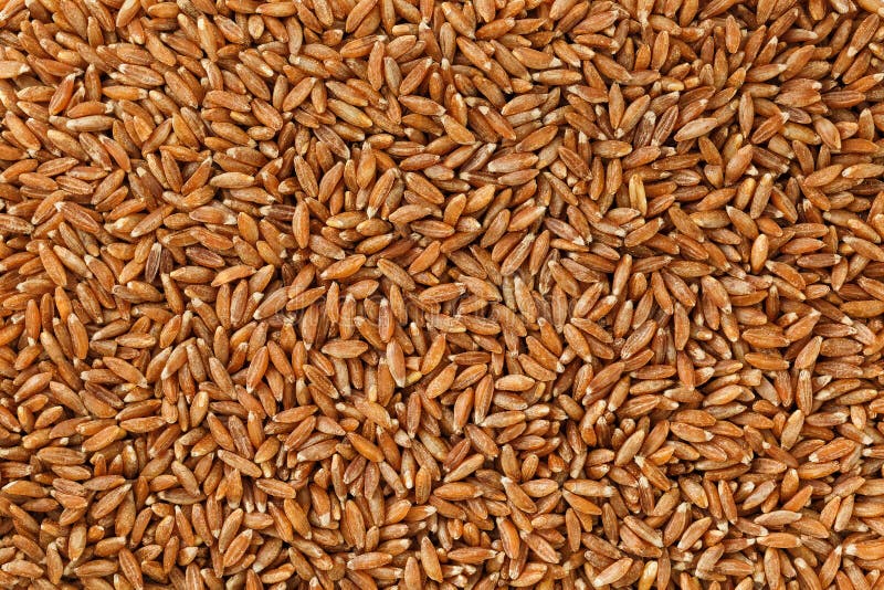 Jasmine Brown Rice Closeup. Organic Grain Texture Stock Photo Image