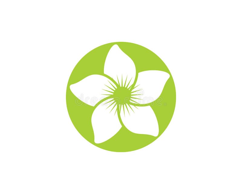 Jasmine Flower Icon Logo Template Stock Vector Illustration of