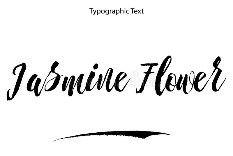 Jasmine Calligraphy Stock Illustrations 74 Jasmine Calligraphy Stock