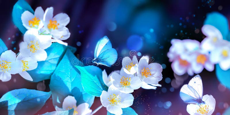 Jasmine flowers and butterflies in spring summer magical garden. Summer wonderland. stock image