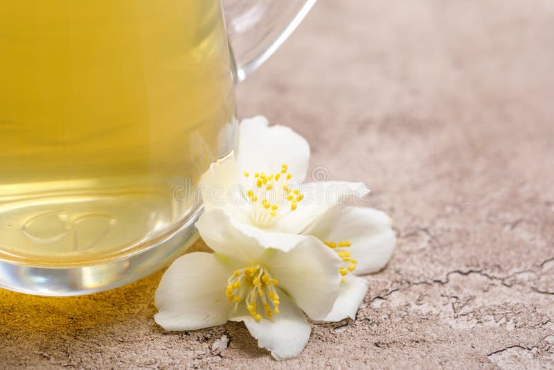 Jasmine Flowers. Green Tea with Jasmine. Stock Image Image of