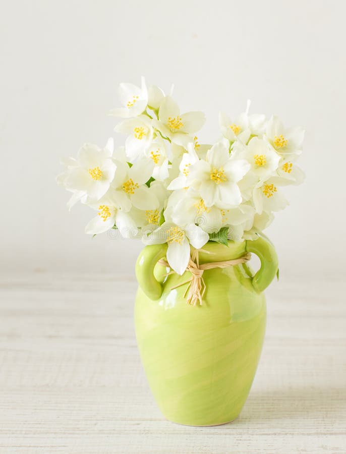 Jasmine flowers stock photo. Image of elegance, beauty 5431994