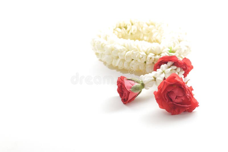 Jasmine Garland arkivfoto Jasmine Garland arkivfoto
