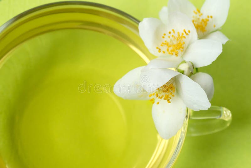 Jasmine tea and blossoms stock photo. Image of glass, fresh 2549190