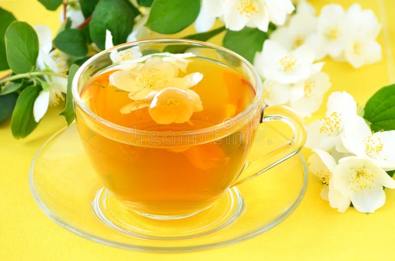 Jasmine tea stock image. Image of petal, drink, floral 35981895