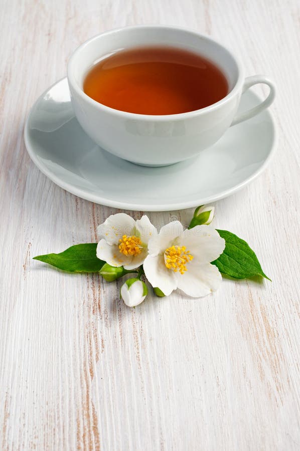 Jasmine tea stock image. Image of nature, jasmine, refreshment 72185785
