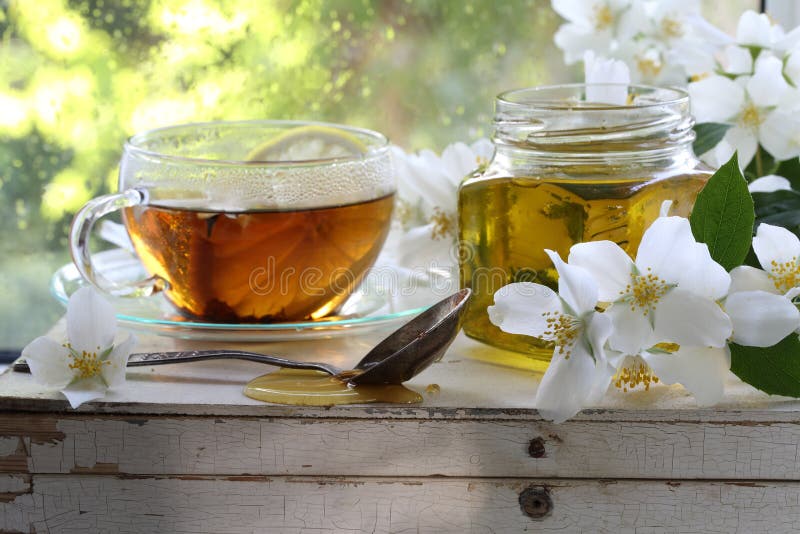 Jasmine tea with honey stock image. Image of healthy 93635315