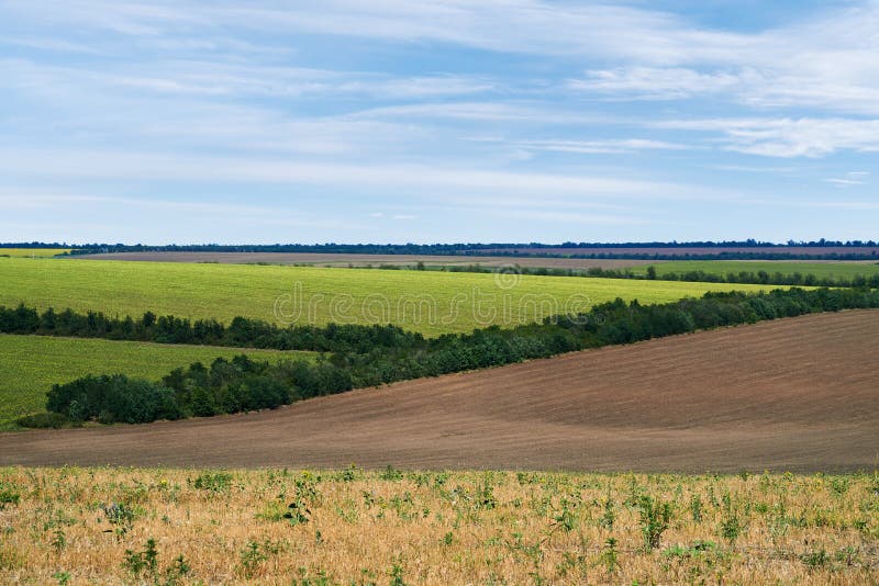 Jasne i piękne letnie pola krajobrazowe i niebo zdjęcia stock