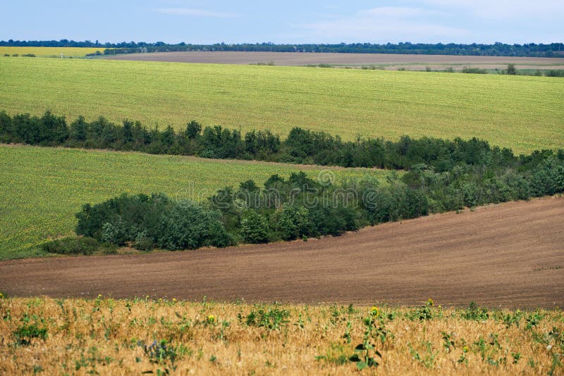 Jasne i piękne letnie pola krajobrazowe i niebo zdjęcie stock