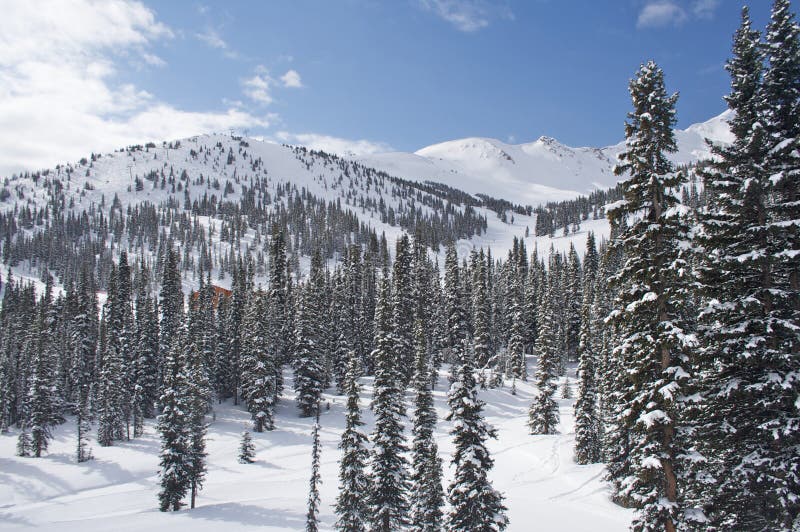 Jasper Ski Resort, Canada