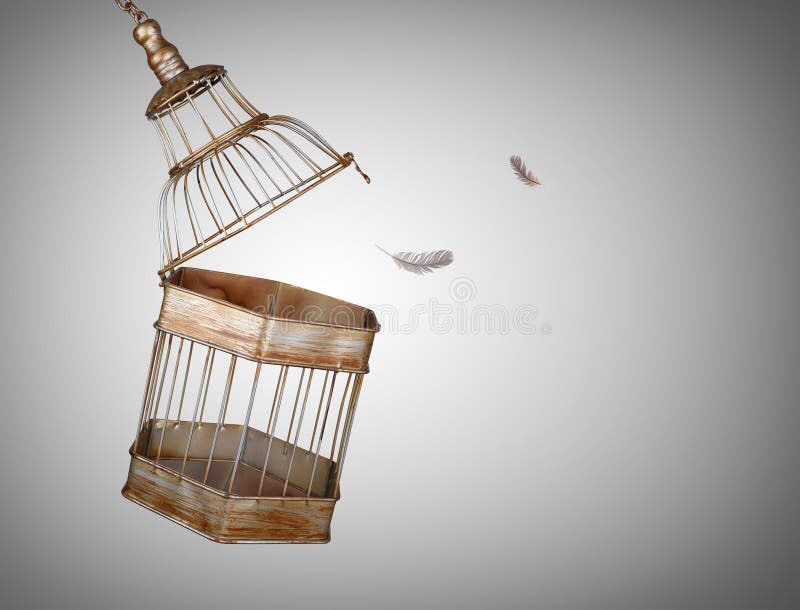 Escaping from the bird cage. Escaping from the bird cage