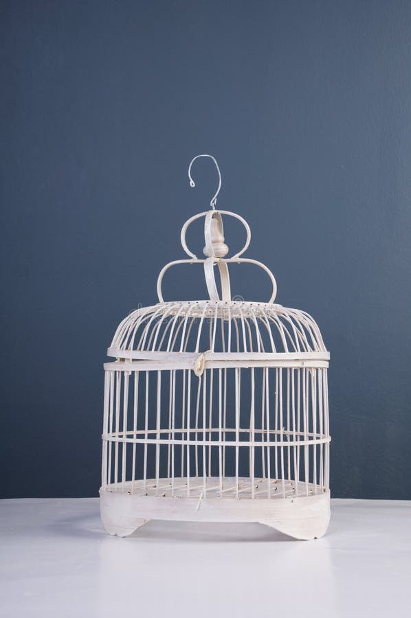 Still life shoot of bird cage. Still life shoot of bird cage