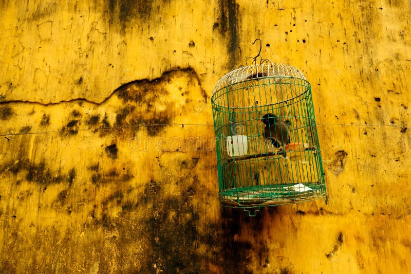 Hanging bird cage against dirty yellow wall. Hanging bird cage against dirty yellow wall