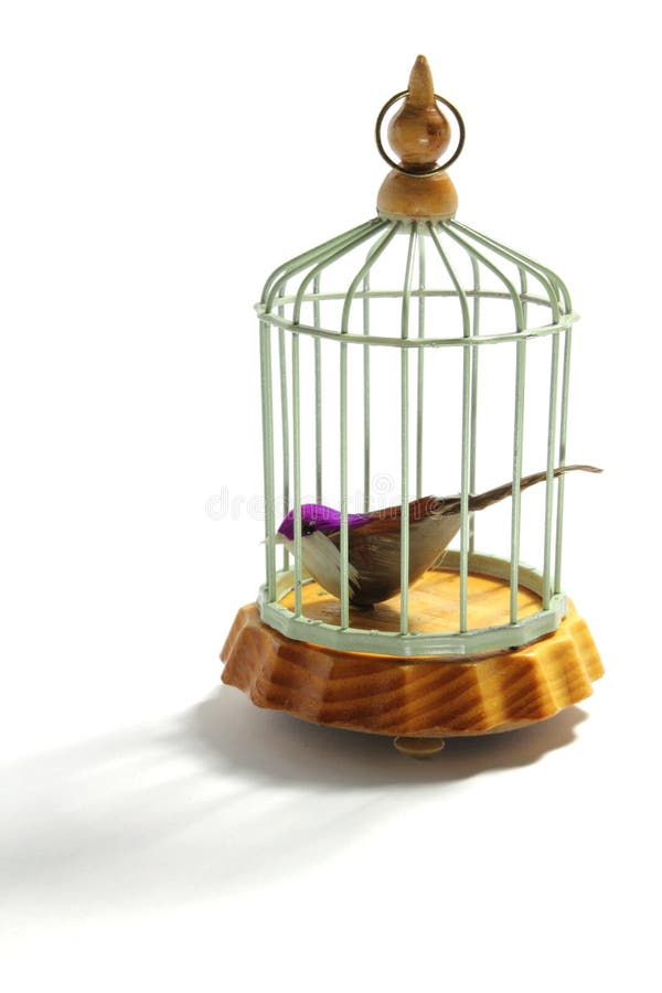 Bird Cage on White Background. Bird Cage on White Background