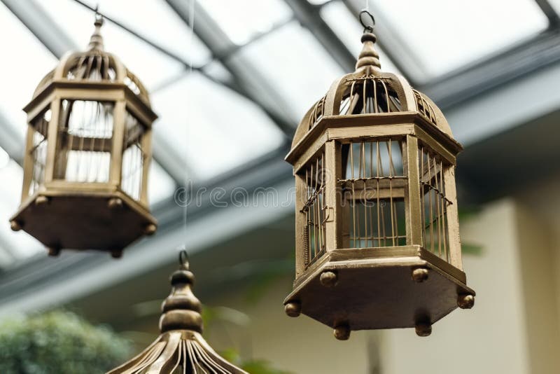 Hanging antique golden bird cage in garden. Hanging antique golden bird cage in garden