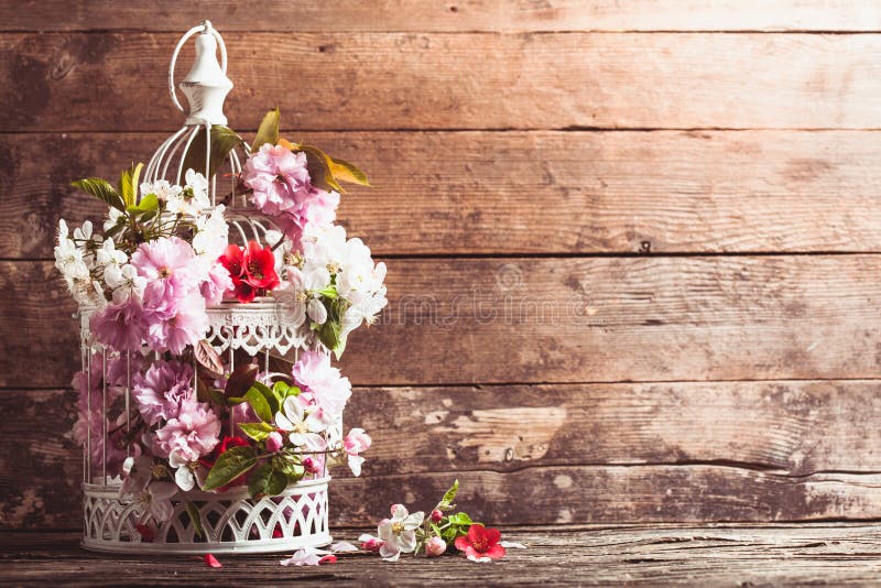 Bird cage with spring blossom of sakura and fruit flowers. Wedding decorations with copy space. Bird cage with spring blossom of sakura and fruit flowers. Wedding decorations with copy space