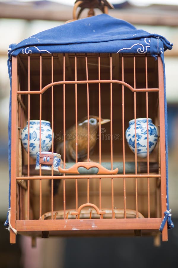 Jaula de pájaros con un pequeño pájaro en el mercado de los pájaros en Shangai fotografía de archivo Jaula de pájaros con un pequeño pájaro en el mercado de los pájaros en Shangai fotografía de archivo