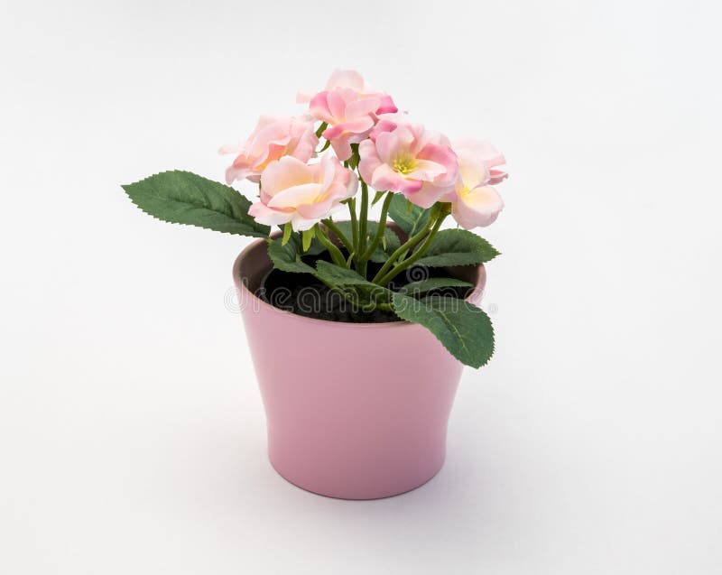 Jaune - La Fleur Décorative En Plastique Rose Blanche Dans Un Pot En Plastique  Rose Est Sur Un Fond Blanc Photo stock - Image du fond, gris: 123227564