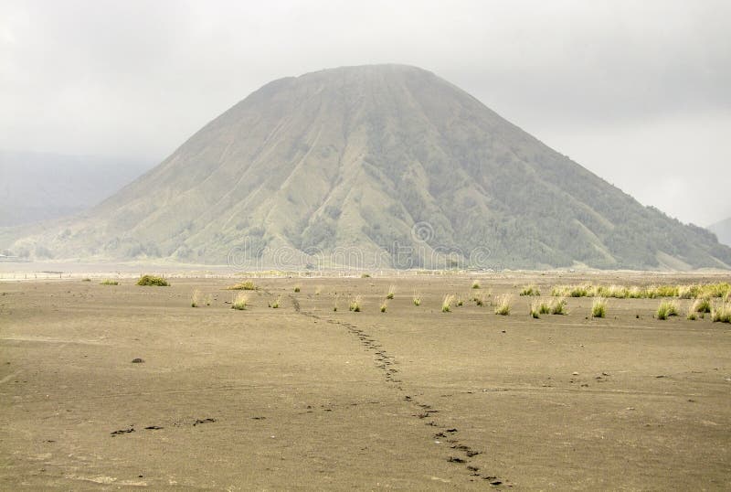 爪哇岛的布罗莫火山 库存照片