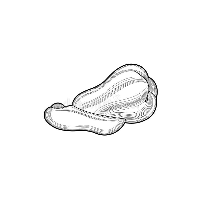 Java Apple. Half an apple. Fruit crop. Tropical fruit. royalty free illustration