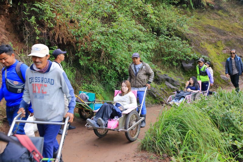 印尼爪哇岛伊根火山 - 2024年2月4日：当地人使用出租车马车将游客带到美丽的伊根火山顶 库存图片