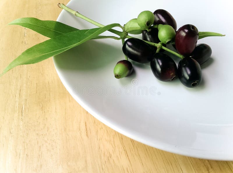 Java plum fruit royalty free stock photo
