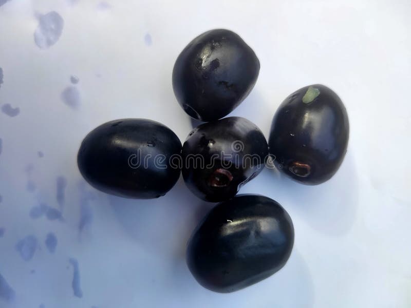 Java plum fruits stock photo. Image of fruits, food 150643364