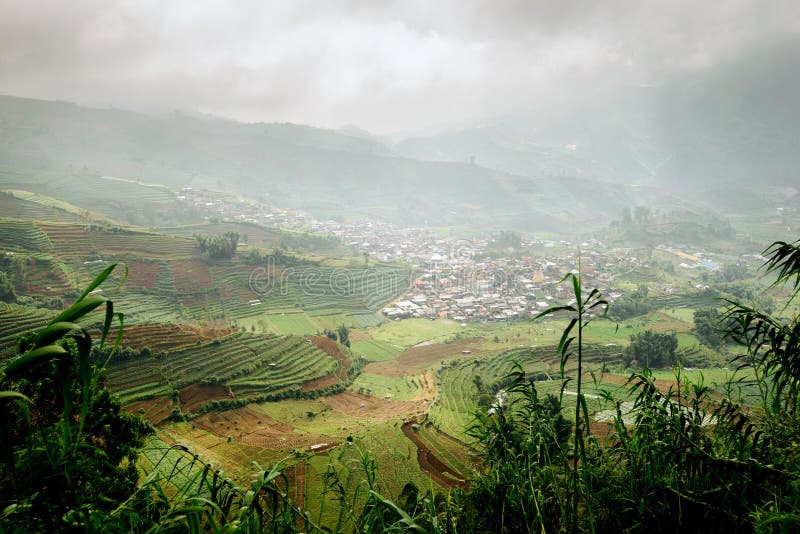Javanese Landelijk Landschap stock foto Javanese Landelijk Landschap stock foto