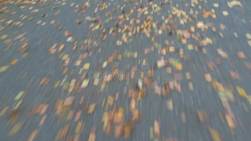 Jazda drogą asfaltową w jesiennym parku Droga pokryta pierwszymi kolorowymi liśćmi Podążając ścieżką blisko ziemi Hiperglikemia
