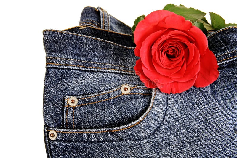 Red Rose Jeans Fabric Background Stock Photos Free & RoyaltyFree