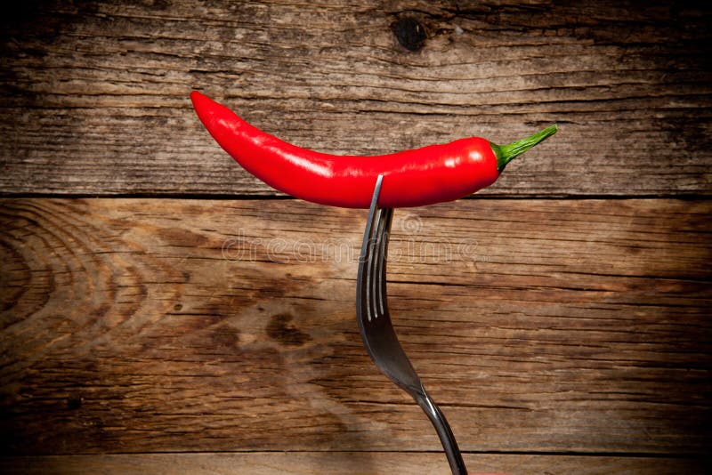 Jeden gorący chili pieprz na rozwidleniu fotografia stock Jeden gorący chili pieprz na rozwidleniu fotografia stock