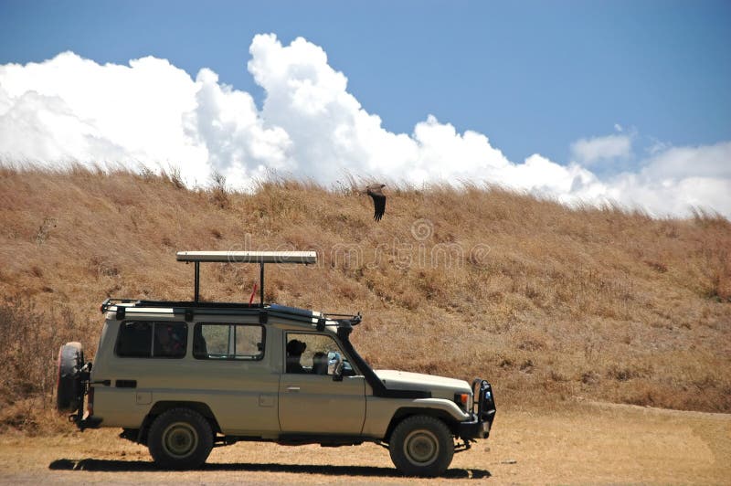 Jeep en el safari. foto de archivo Jeep en el safari. foto de archivo