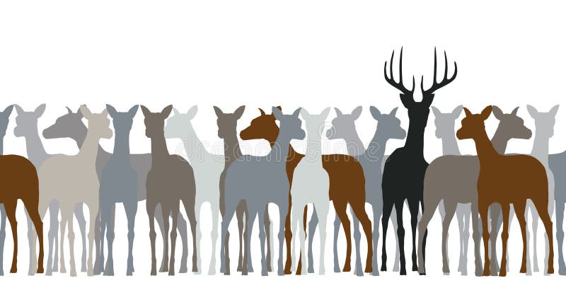 Editable silhouette of a herd of deer. Editable silhouette of a herd of deer