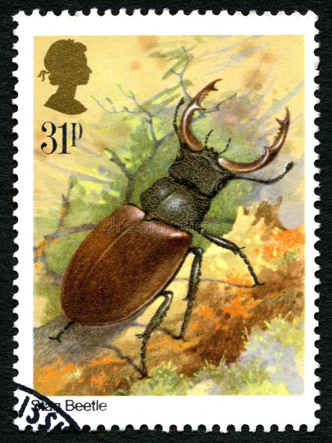 Jeleń ścigi UK znaczek pocztowy. WIELKI BRYTANIA OKOŁO 1985 -: Używać znaczek pocztowy od UK, przedstawiający ilustrację jeleń ściga około 1985,