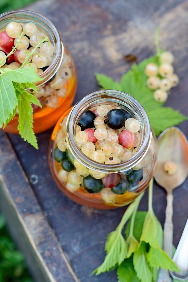 Jelly with berries stock photo. Image of juice, fruit 43516666