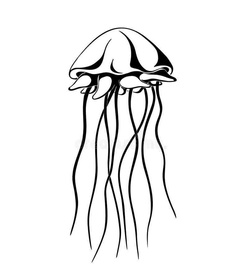 Jellyfish Ink Hand Drawn Vector Illustration Stock Vector Illustration Of Decoration Color