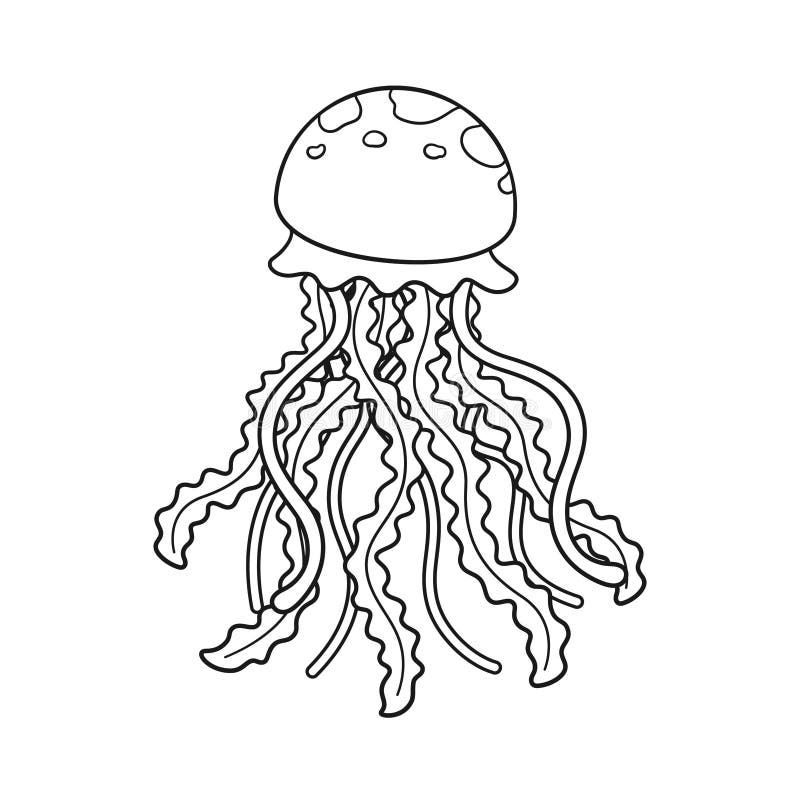 Jellyfish Outline Hand-drawn Doodle Marine Sketch, Underwater Jelly ...