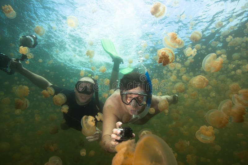 Quallensee stockfotos